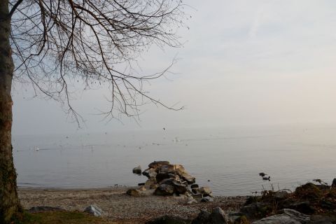Rive du Lac